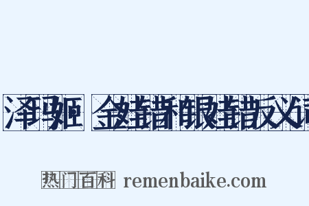 泽玛姬·金娃错和银娃错反义词是什么意思的图片